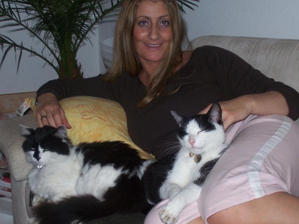 Bild zu Mal was ganz anderes (an Katzenliebhaber) - Forum für Mai - Mamis