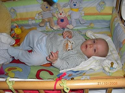 Bild zu 