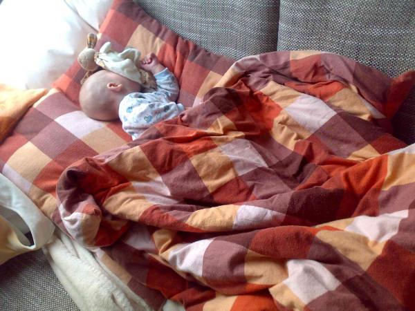 Bild zu