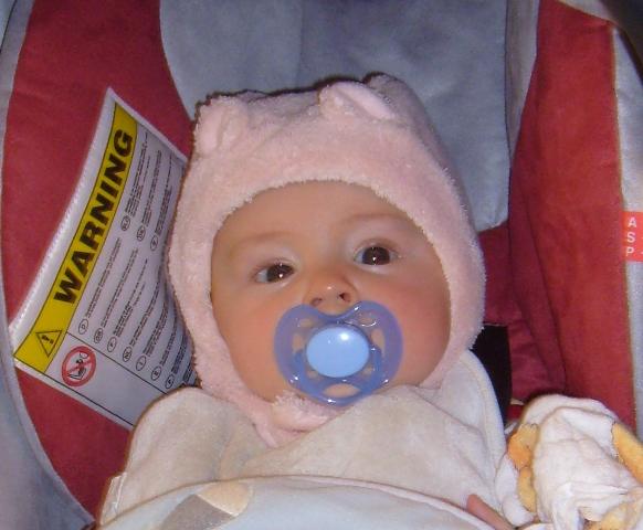 Bild zu 