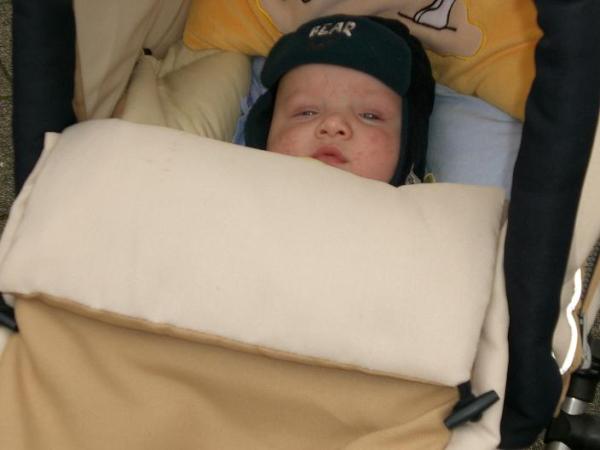 Bild zu 