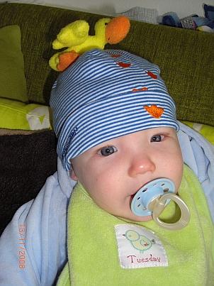 Bild zu 