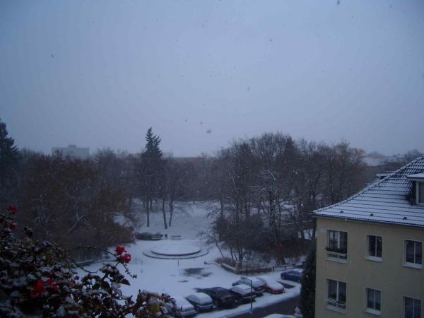 Bild zu 