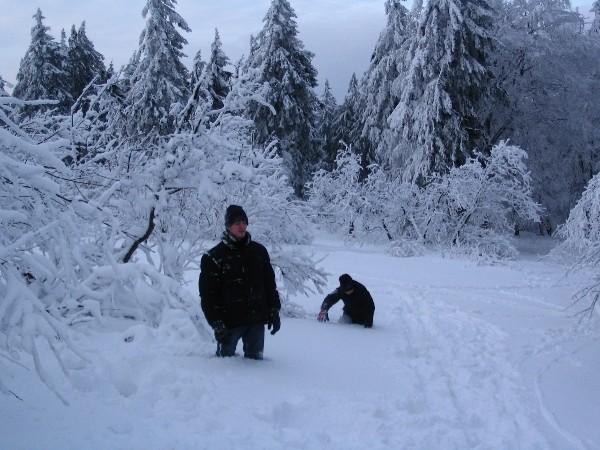 Bild zu