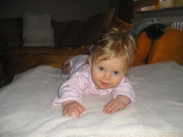 Bild zu