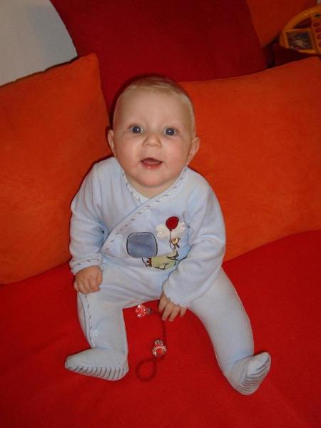 Bild zu