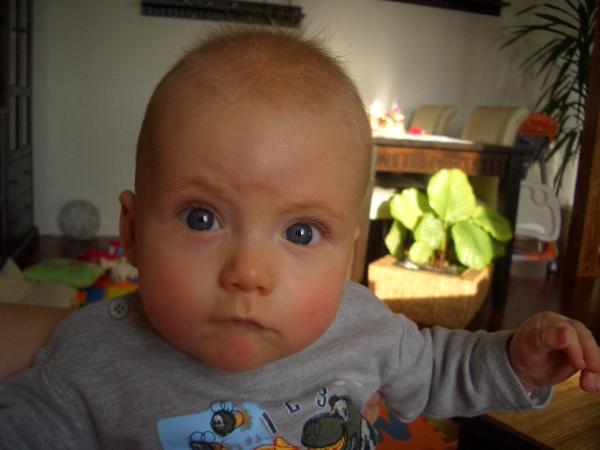 Bild zu