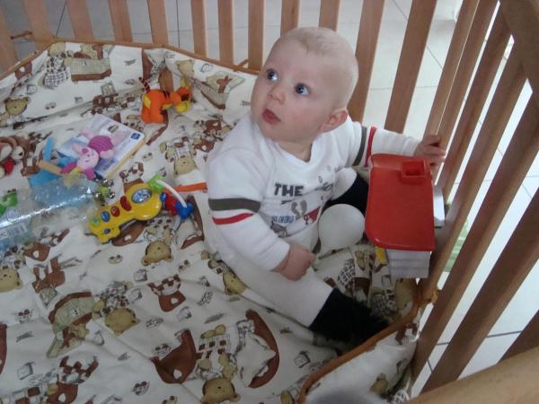 Bild zu 
