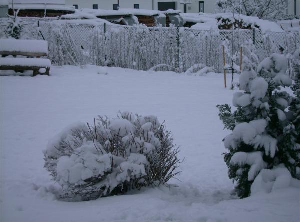 Bild zu 