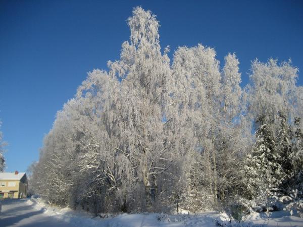 Bild zu @ liv ICH WILL AUCH SCHNEE! - Forum für Mai - Mamis