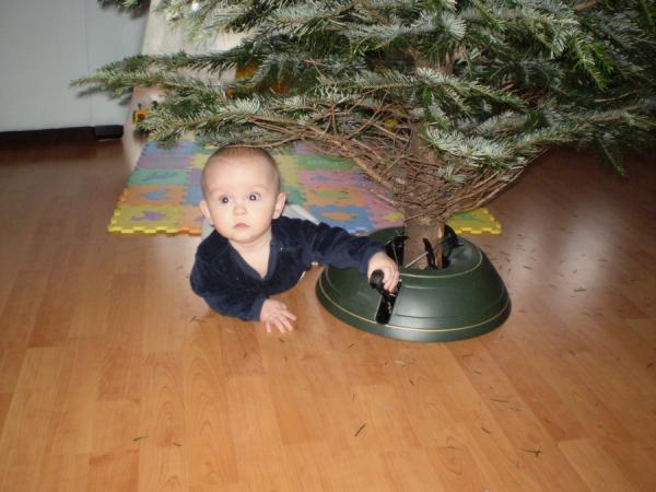 Bild zu Tannenbaum Fotos - Forum für Mai - Mamis