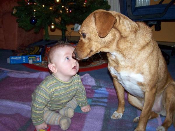 Bild zu Nochmal unser kleiner mit unserem Hund - Forum für Mai - Mamis