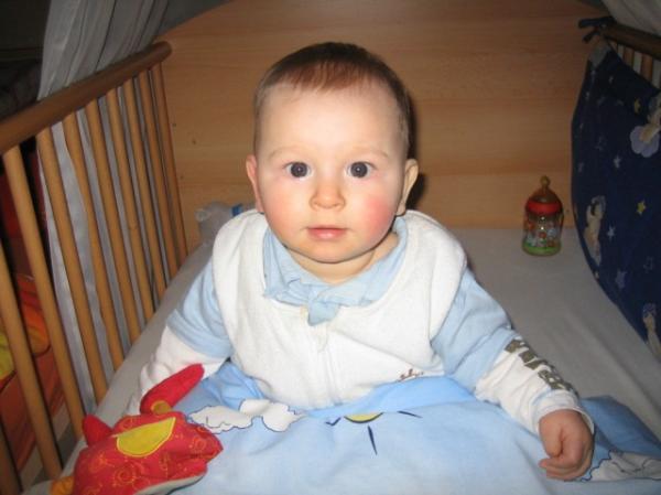 Bild zu 