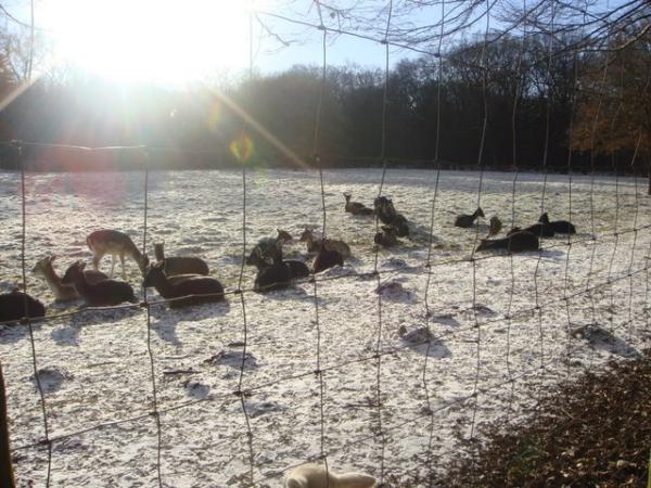 Bild zu 
