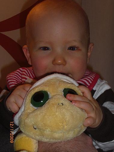Bild zu 