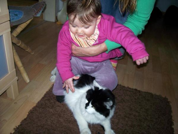 Bild zu