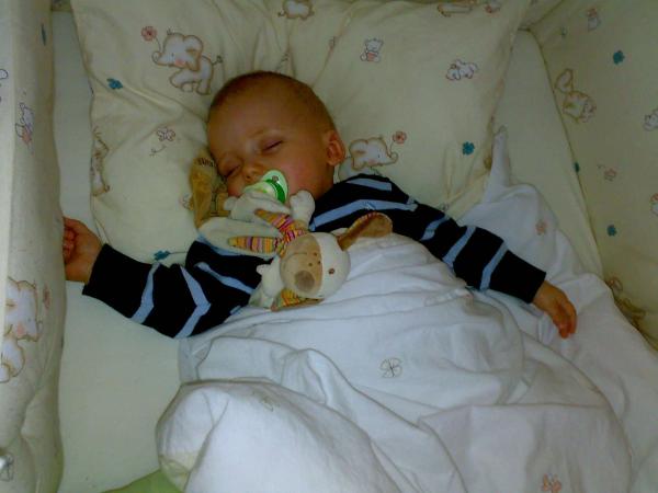 Bild zu 