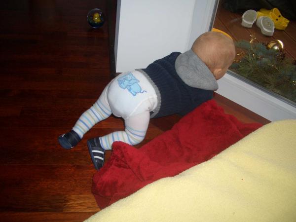 Bild zu