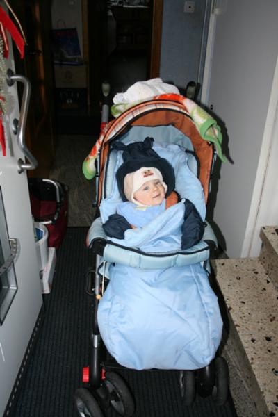 Bild zu 