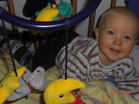 Bild zu 