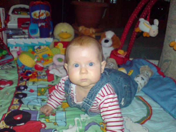 Bild zu 