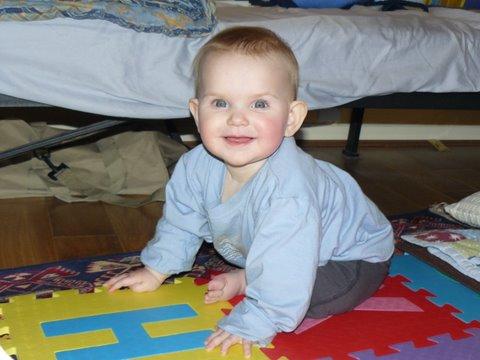 Bild zu 