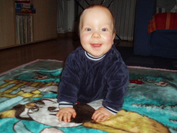 Bild zu