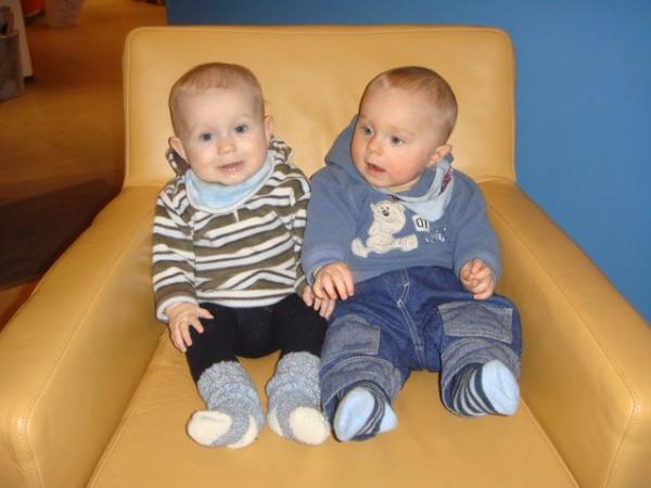 Bild zu