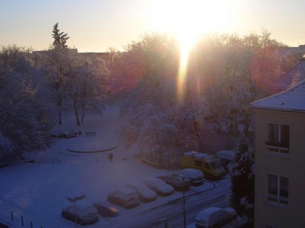 Bild zu 
