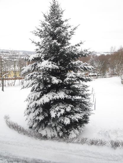 Bild zu "Beweisfoto´s" - Schnee, Schnee, Schnee soweit das Auge reicht... - Forum für Mai - Mamis
