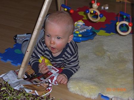 Bild zu 