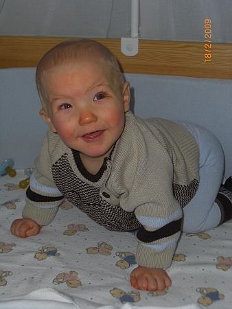 Bild zu 
