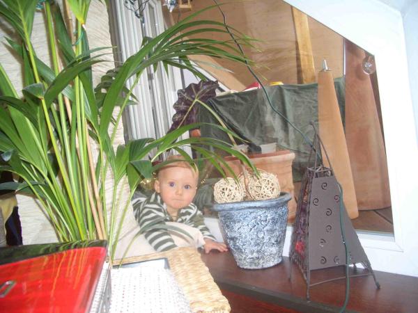 Bild zu 