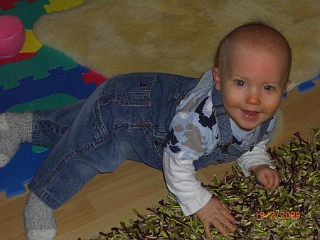 Bild zu