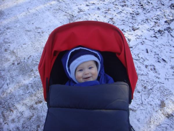 Bild zu