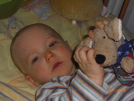 Bild zu