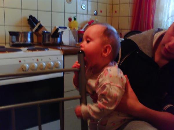 Bild zu