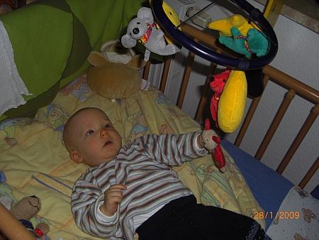Bild zu 