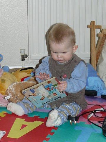 Bild zu