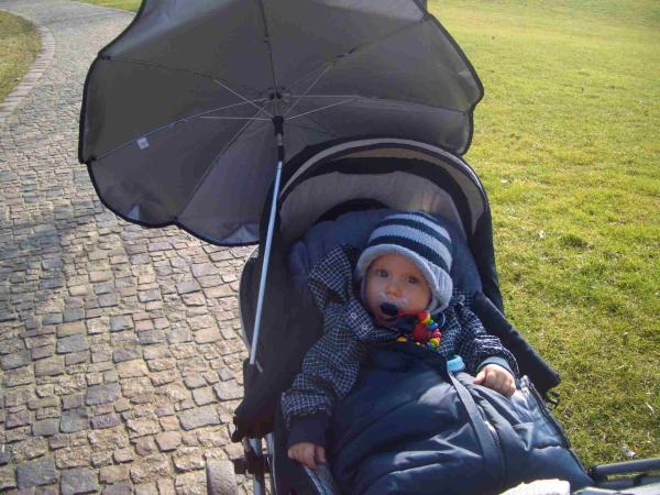 Bild zu 