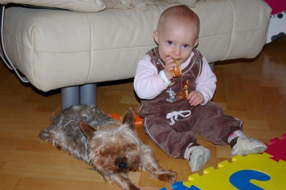 Bild zu