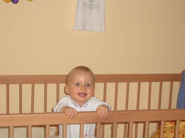 Bild zu