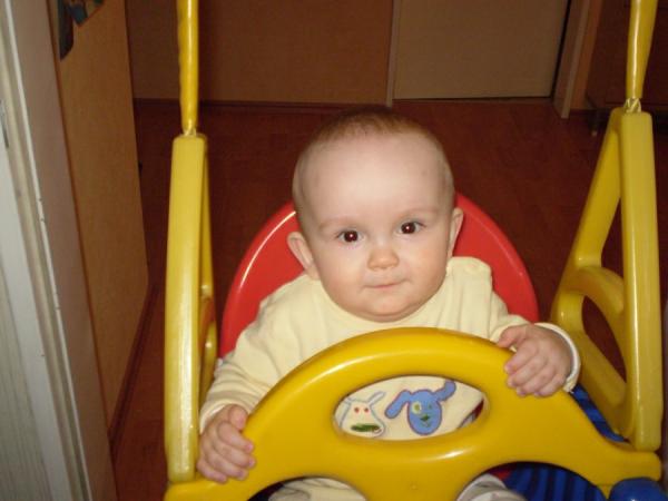 Bild zu 