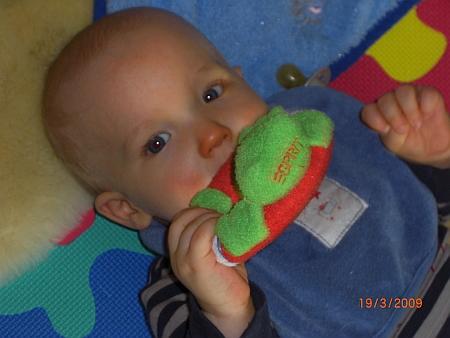 Bild zu 