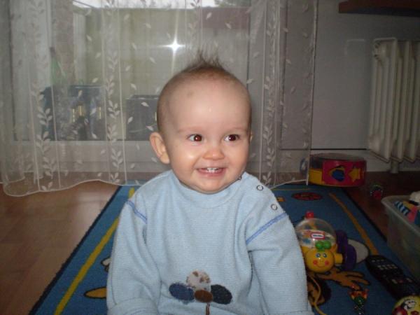 Bild zu 