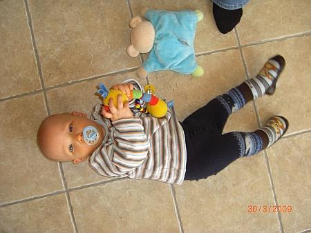 Bild zu