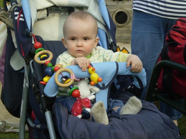 Bild zu