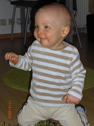 Bild zu