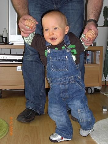 Bild zu