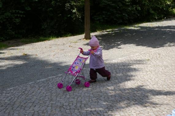 Bild zu